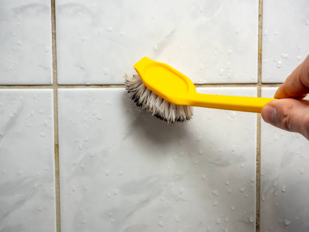 Best Mold Remediation for Specific Building Types in Basile, LA
